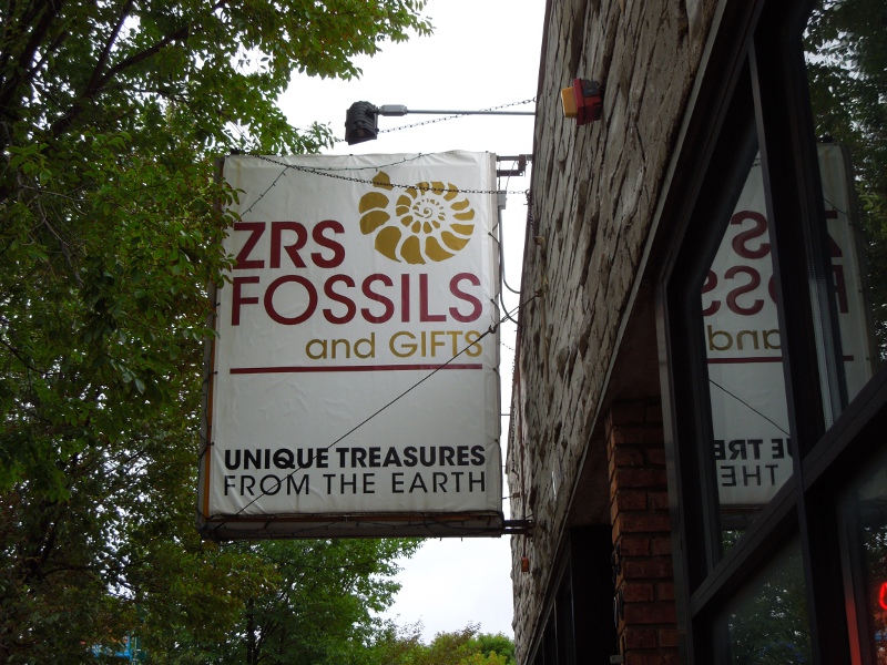 ZRSFossils001