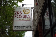 ZRSFossils001