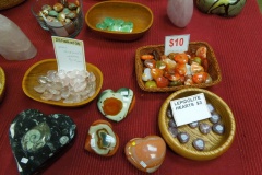 ZRSFossils008